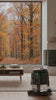 video-automne-phone-9x16